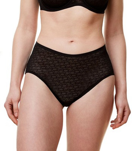 Majtki damskie Triumph Signature Sheer Maxi EX